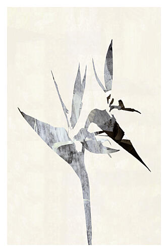 Abstract Bird of Paradise Art Print