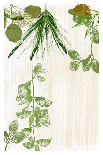 Organic Leaf Textures Art Print