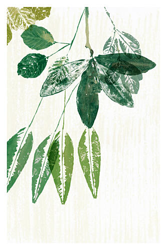 Botanical Green Leaves Art Print