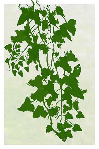 Cascading Greenery Art Print