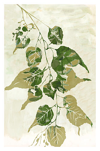 Fresh Green Leaves Art Print