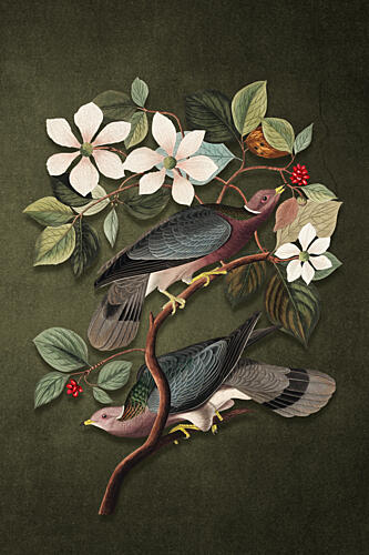Elegant Birds and Blooms Art Print
