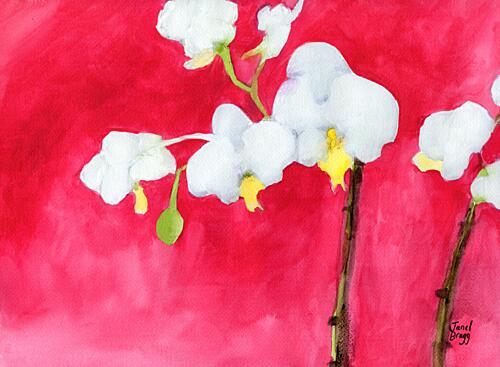 Vibrant Orchids on Red Art Print
