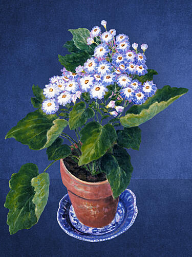 Potted Blue Flowers Art Print