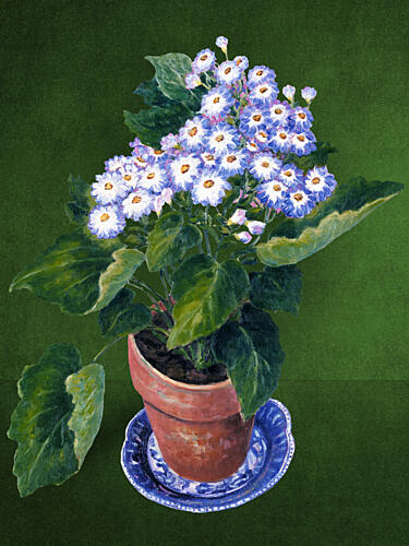 Vibrant Potted Flowers Art Print