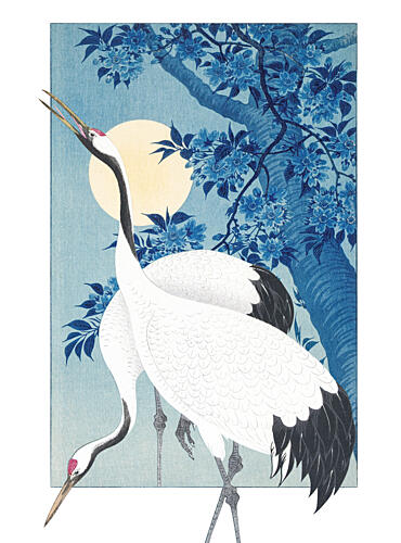 Japanese Cranes Moonlight Serenity Art Print