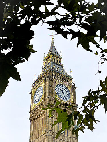 Big Ben Through Leaves Art Print by Patrick Muthui