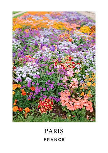 Paris Floral Travel Poster Art Print