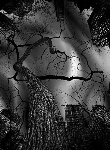 Stark Urban Tree Art Print by Jackson Carvalho