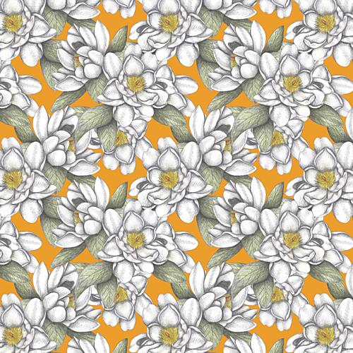 White Blooms on Orange Art Print