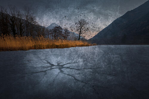 Frozen Mountain Lake Birds Art Print
