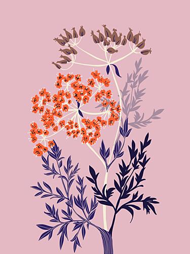 Orange Bloom Botanicals Art Print