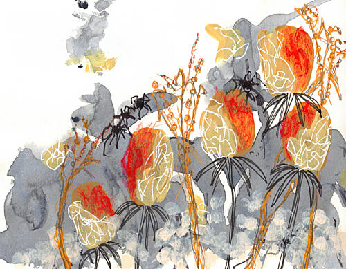 Orange Banksia with Spiders Art Print