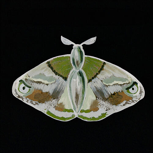 Striking Green Moth Art Print