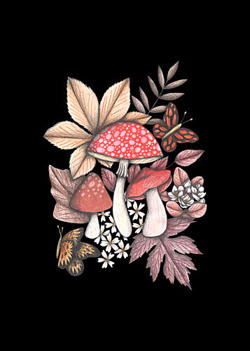 Whimsical Woodland Mushrooms Art Print