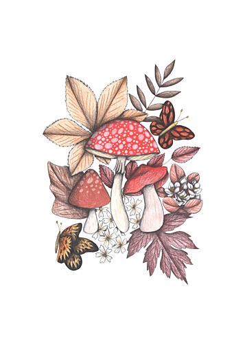 Woodland Mushroom Butterflies Art Print