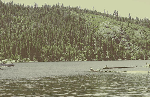 Historic Forest Log Transport Art Print