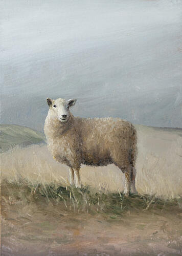 Pastoral Sheep Art Print by James Zamora