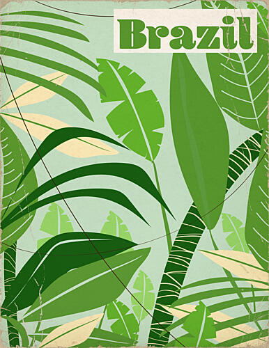Vintage Brazil Jungle Art Print
