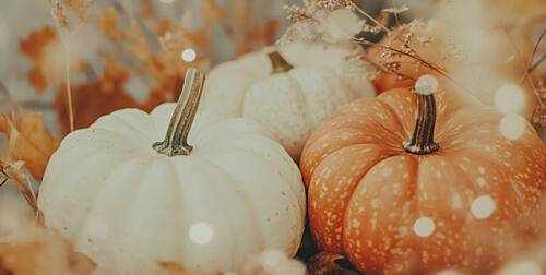 Cozypumpkinimpressionno02 Art Print