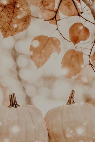 Cozypumpkinimpressionno04 Art Print
