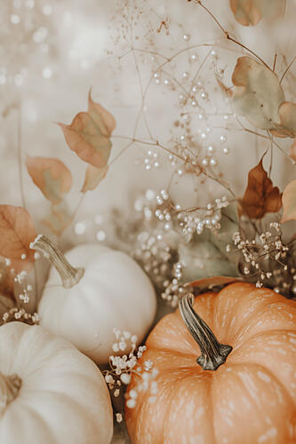 Cozypumpkinimpressionno06 Art Print