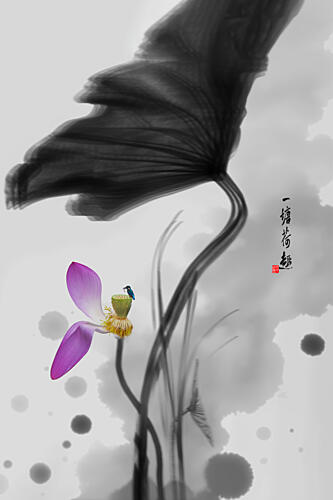 Pink Lotus Bird Art Print by Xuedong Bai