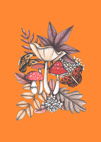 Autumn Mushroom Butterflies Art Print by Cecilia Battaini