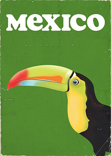 Vintage Mexico Toucan Art Print