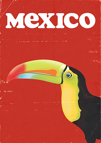 Vibrant Mexico Toucan Art Print