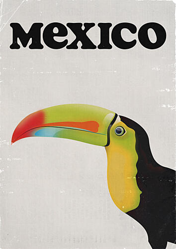 Mexico Toucan Art Print