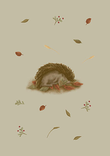 Sleeping Autumn Hedgehog Art Print