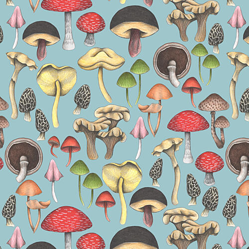 Colorful Forest Fungi Art Print by Cecilia Battaini