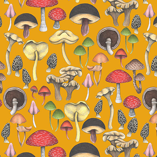 Wild Mushrooms Fantasy Art Print