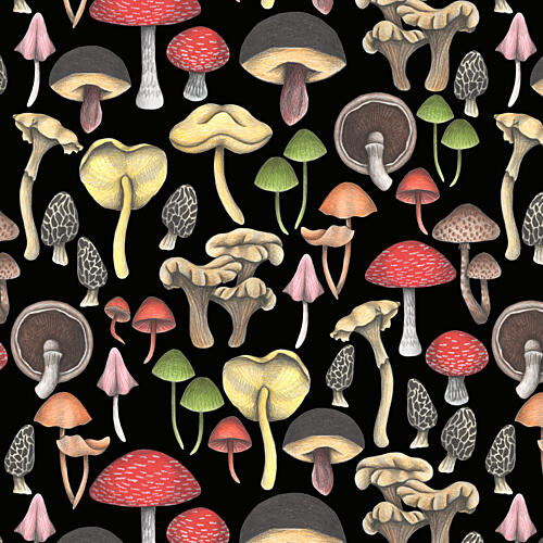 Wild Mushroom Medley Art Print
