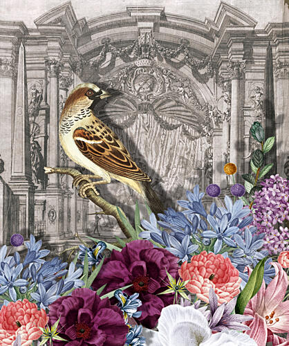 Sparrow and Vibrant Blooms Art Print