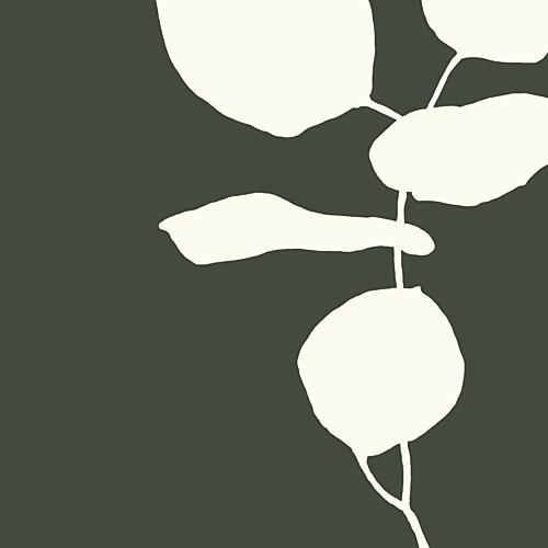 Serene Plant Study Art Print by Andrea Reichhart
