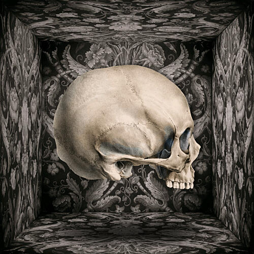 Dark Ornate Skull Still Life Print