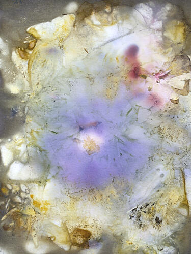 Soft Floral Abstract Art Print by kathrinmay