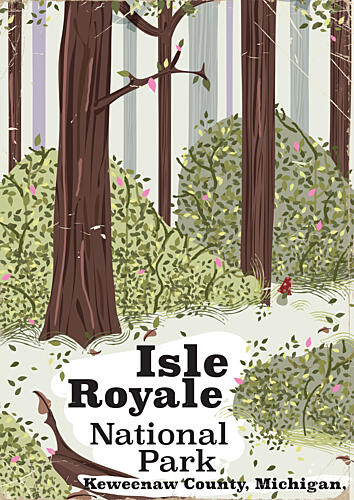 Isle Royale Forest Path Art Print