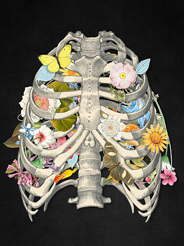 Anatomy in Bloom Art Print