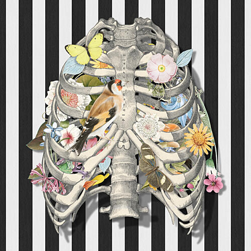 Blooming Rib Cage Art Print