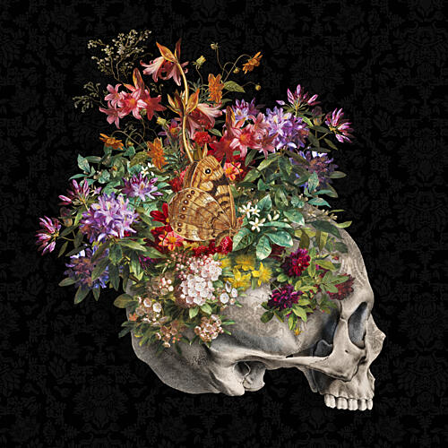 Blooming Skull with Butterfly Art Print
