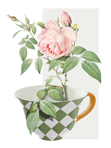 Pink Rose Teacup Art Print