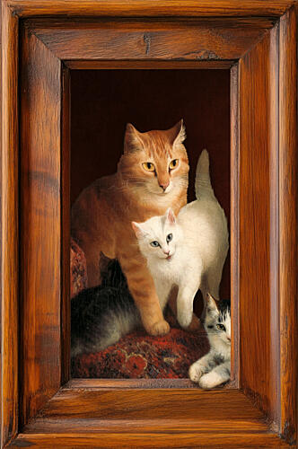 Sweet Cat Family Art Print