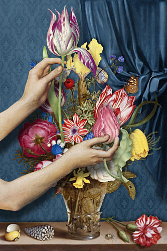 Hands and Blooming Tulips Art Print