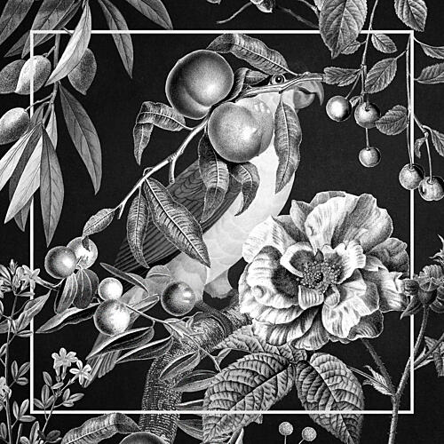 Exotic Botanical Bird Art Print