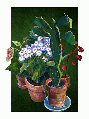 Potted Cactus Flowers Art Print
