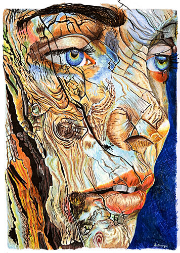 Cracked Wood Portrait Art Print by Loretta van der Westhuizen