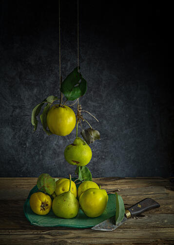 Rustic Quinces Still Life Art Print by FranzStaab